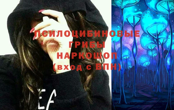 не бодяженный Арсеньев